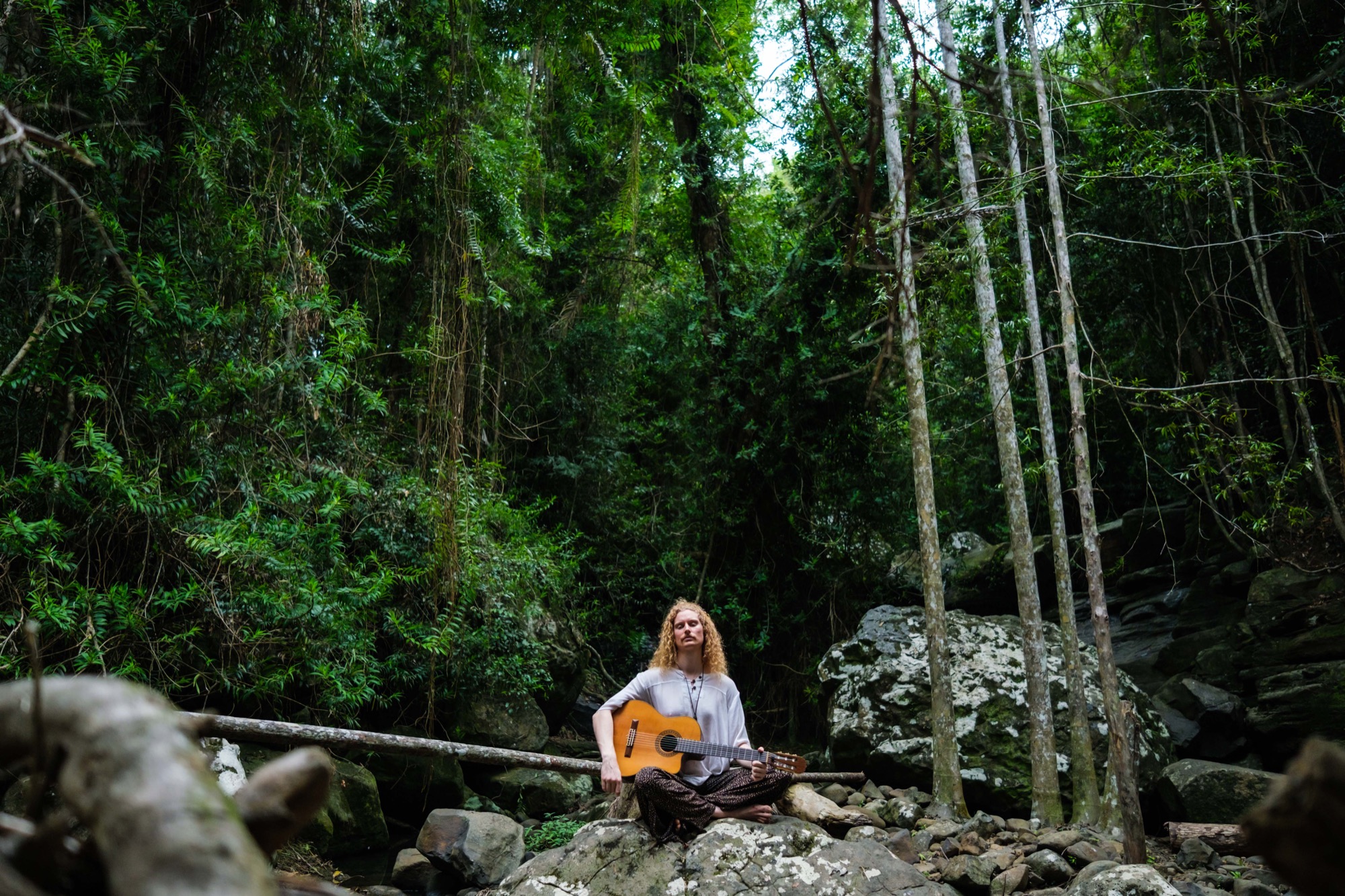 Alexander seated with his guitar in a rainforest setting.