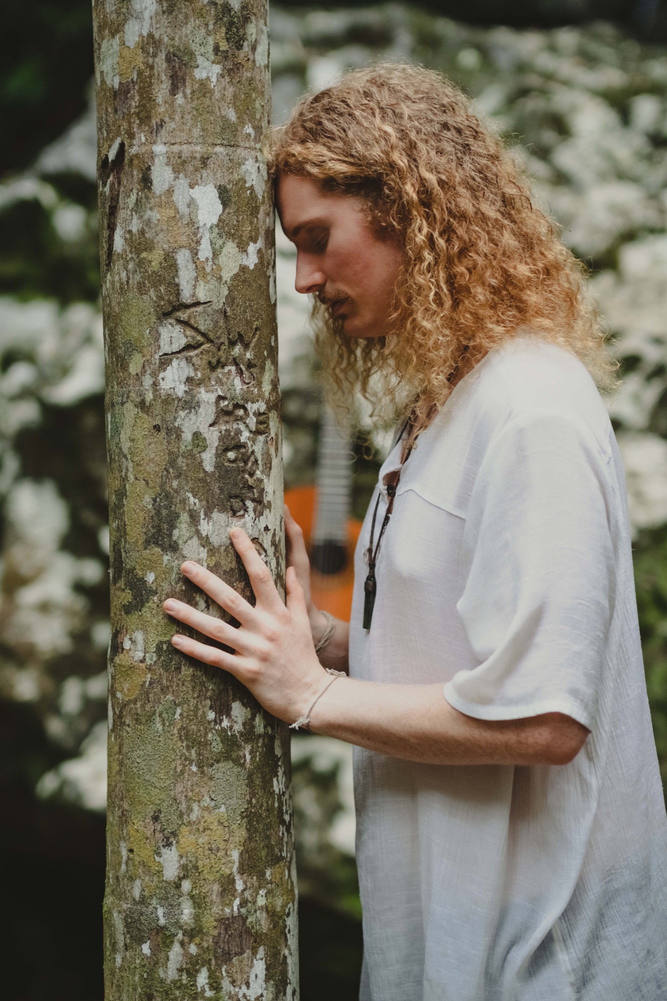 Alexander among the trees.